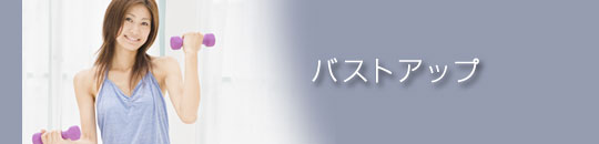 ノコギリヤシ（ソウパルメット）