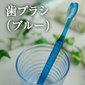 はブラシ（ブルー）