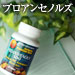 プロアンセノルズ100mg 