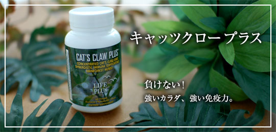 キャッツクロープラス