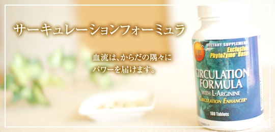 サーキュレーションフォーミュラ