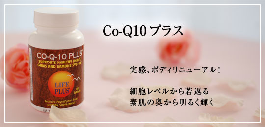 コキューテンプラス