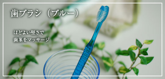 はブラシ（ブルー）
