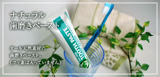 ティーティーオーはみがきこフッそぬき