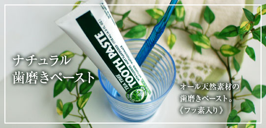 ティーティーオーはみがきこフッそいり