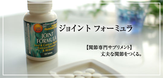 ジョイントフォーミュラ