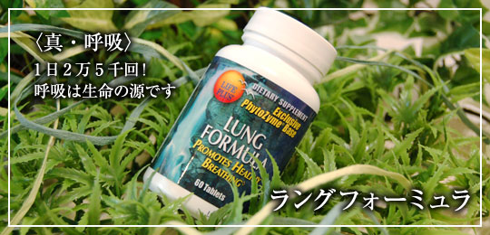 ラングフォーミュラ