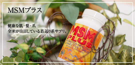 エムエスエムプラス