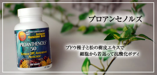 プロアンセノルズ50mg 240つぶ