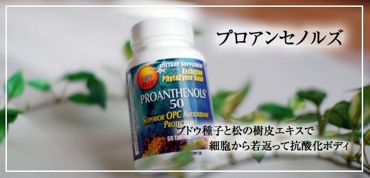 プロアンセノルズ50mg　60つぶ