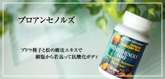 プロアンセノルズ100mg 