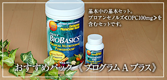 プログラムAプラス