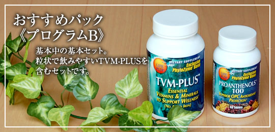 プログラムB