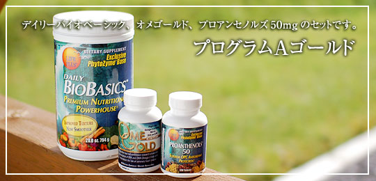 プログラムAゴールド