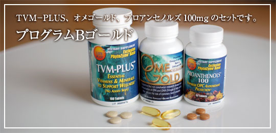 プログラムBゴールド